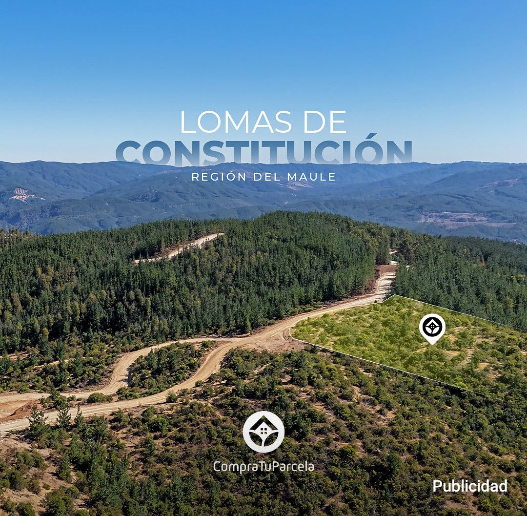 Lomas de Constitución II_6a893af847df0.jpeg